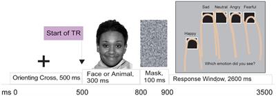 Human emotion processing accuracy, negative biases, and fMRI activation are associated with childhood trauma